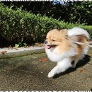 행복한유치원 이미지