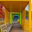 호수공원10로 이미지