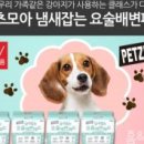 요술강아지 이미지