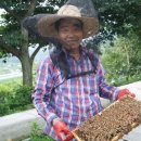 지리산농장 이미지