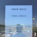 [제주 성산] 성산일출봉, 광치기해변 근처 대형카페 ‘성산카페 호랑호랑’