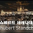 작곡가이야기_#22-17 슈베르트(Schubert) ＜슈베르티아드(Schubertiad)＞ 이미지