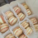 둔산요리제과제빵학원