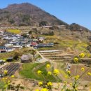 남해가봄 이미지