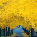 명심보감 이미지