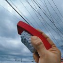 제주초밥 이미지