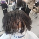 부산 증모술 남자 M자 탈모 빈틈없는 어반씨엘 후기