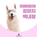 눈이튼튼 동물병원 이미지