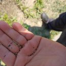 천종농장 이미지