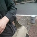 안 수의과병원 이미지