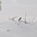 방은목장 이미지