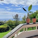 강정동-57 이미지