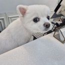 그루비멍 이미지