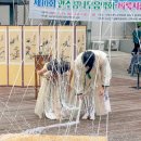 꿈나무지역아동센터 | 아이들이 마술사가 되는 특별한 경험! 인주지역아동센터 꿈나무 음악회에서.