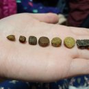 로열 퍼피샵 이미지