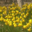 춘호농장 이미지