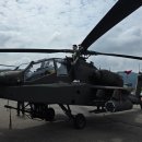 천무태권도 | 계룡軍문화축제 지상군 페스티벌 2025 후기