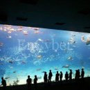 공공용 45 이미지