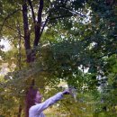 동양약업사 | 28> Ottawa - National Gallery of Canada 1/3