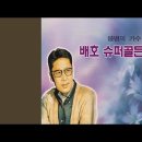 안개낀 장충단공원 - 배호 이미지