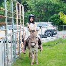 산모랭이 | 보은 아이랑 가볼만한곳 농산물체험 독채펜션 산모랭이풀내음펜션