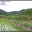 구산면517 이미지