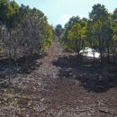 남원읍-33 이미지