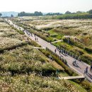 에코중앙로R 이미지