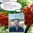 김동렬한의원 이미지