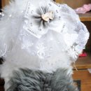 (주)리빙 이미지