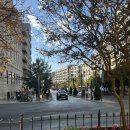 (주)씨지이티씨코리아 | 🇪🇸#5 그라나다에서, 고도의 광기는 예술인과 다를게 없다