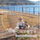 더베이1804-1풀빌라펜션 이미지
