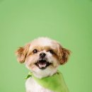 수락동물병원 이미지