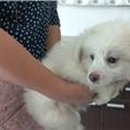 홍성여중 정문 이미지