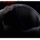 더프라임동물의료원 이미지