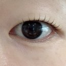 광성빌딩 | 화정속눈썹펌 유지력 좋은 나무아이래쉬에서 무쌍속눈썹펌 후기