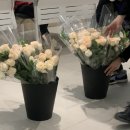 리젠플라워 이미지