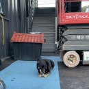 지에스(GS)25 통영통큰낚시점 이미지