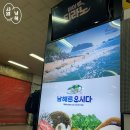 삼기상정마을경로당 | 떠난 2박 3일 남해 (上) :: 남해독일마을, 유즈노모레, 물건마을, 화이트캐슬펜션, 주류마켓 밭, 쿤스트...