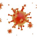 공감 사회적협동조합 이미지