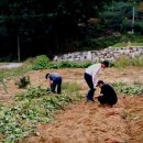 민형농장 이미지