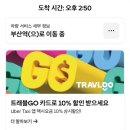 많이 늦은 스테디 쇼케 후기