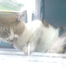 수원-0669 이미지