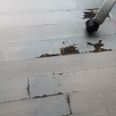 센텀수영강푸르지오아파트 이미지