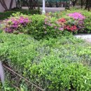 주식회사 팀케어 이미지