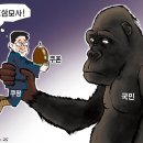31 이미지