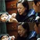 고치 이미지