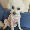동문 굿모닝힐정문 이미지