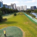 수내동파크골프장 이미지