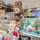 수원-1505 | 수원 스타필드 팝마트 라부부 구매 키덜트샵 후기